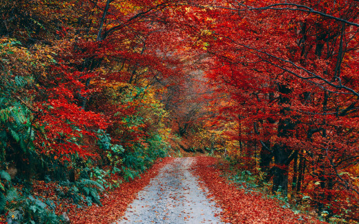 1262466 (a): :2560x1600